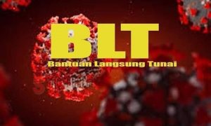 Akhir Triwulan Satu Serapan Anggaran Minim, BLT DD Belum di Salurkan ?