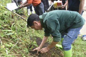 Penanaman 200 Pohon Bambu, Nelson: Bagian dari Pencegahan Bencana