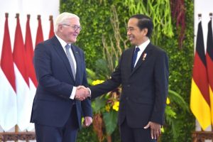 Jokowi Bahas Kerjasama Ekonomi RI-Jerman Bersama Steinmeier