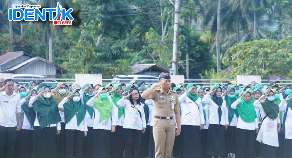 Tiga Nama Calon PPPK Nakes di Bolmut Terancam Dihapus Nilainya