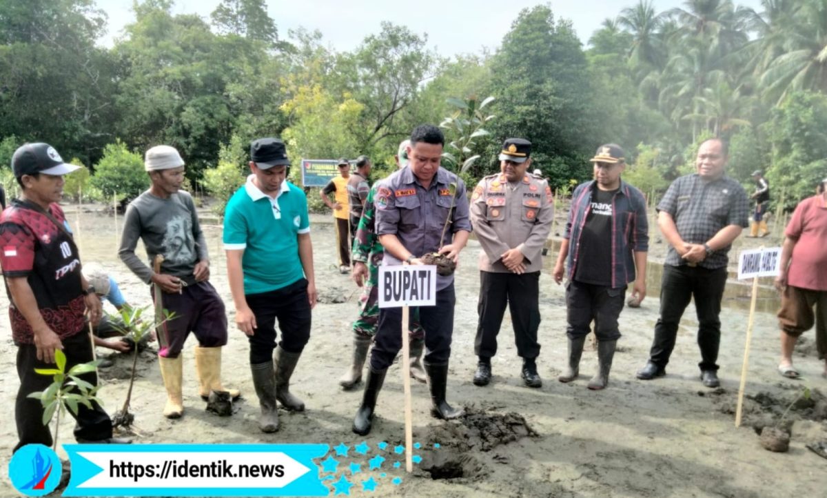 Penanaman Mangrove di Nunuka Bolmut, Hidayat: Pentingnya Menjaga Lingkungan