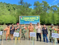 Rehabilitasi Mangrove, Polsek Sangkub Bersama TNI Gelar Penanaman Pohon