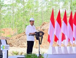 Progres Pembangunan IKN: Jokowi Senang Investor Berbondong Investasi